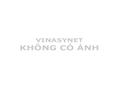 AMC bồi dưỡng và cấp chứng chỉ chuẩn kỹ năng sử dụng công nghệ thông tin cơ bản