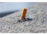 Tái chế đầu lọc thuốc lá thành gạch: Từ lý thuyết đến thực tiễn