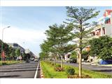 Bắc Ninh: Quy hoạch, phát triển đô thị, nền tảng để thu hút đầu tư